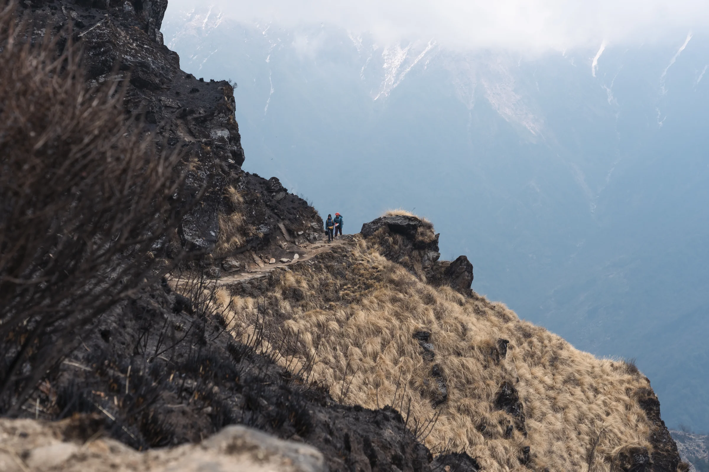 Nepal — portatore himalayano